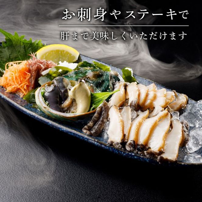 三陸産 ” 活 ” 蝦夷あわび 10ヶ 養殖 ( エゾアワビ 産地直送 冷蔵 岩手 活き あわび 肝 あわび ステーキ あわび 刺し身 刺身 ) [56500089_1]