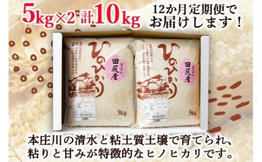 ＜田尻産ヒノヒカリ10kg(5kg×2袋) 12か月定期便＞翌月中旬頃に第一回目発送（※8月は下旬頃）【a0167_oc】