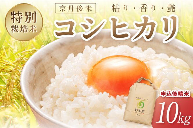京丹後米　特別栽培米コシヒカリ10kg　令和5年　注文後精米　野木源 NO00008