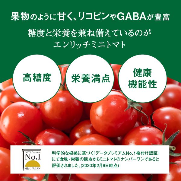 【先行予約】エンリッチミニトマトセット3箱セット【070002】