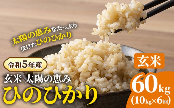 【令和5年産】玄米 岡山県産 ひのひかり 笠岡産 60kg(10kg×6回)《30日以内に出荷予定(土日祝除く)》農事組合法人奥山営農組合 農事組合法人奥山営農組合 太陽の恵み O-2_10k---O-02_60k_g---