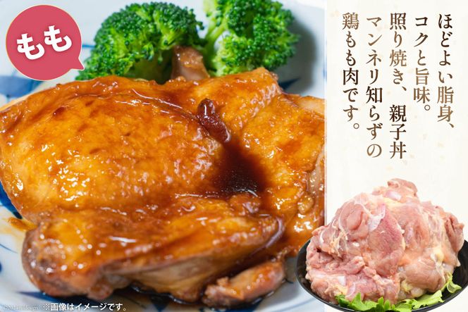 肉 鶏肉 宮崎県産若鶏 鶏肉バラエティーセット3kg [アイフーズ 宮崎県 日向市 452060754] 冷凍 小分け もも肉 モモ肉 むね肉 ムネ肉 ささみ ササミ