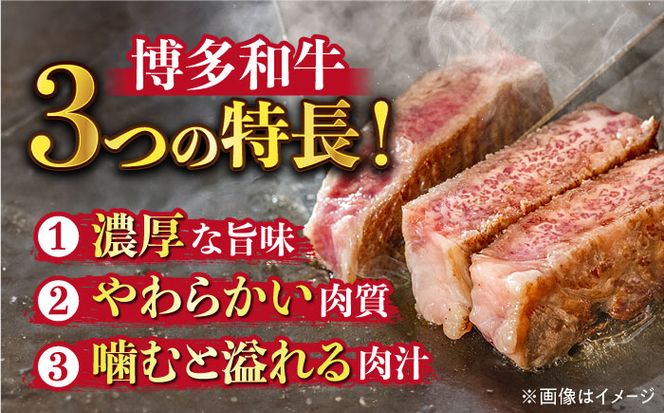 【溢れる肉汁と濃厚な旨味】博多和牛 サーロイン ステーキ セット 500g(250g×2枚)《築上町》【株式会社MEAT PLUS】 [ABBP013]