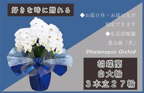 099H378 3本立て 胡蝶蘭 27輪～30輪 白色【木製大型木札 または メッセージカード 付き ラッピング お祝い ギフト 贈答 贈り物 プレゼント 生花 花 農福連携】