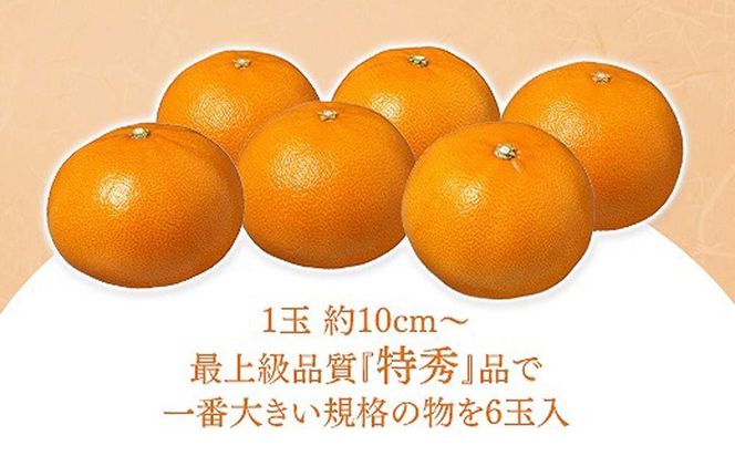 化粧箱 柑橘の大トロ ハウス せとか 厳選 大玉 6玉入   BS102