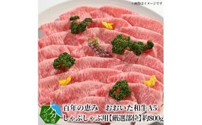 【A01102】百年の恵み　おおいた和牛A5　しゃぶしゃぶ用【厳選部位】約800ｇ