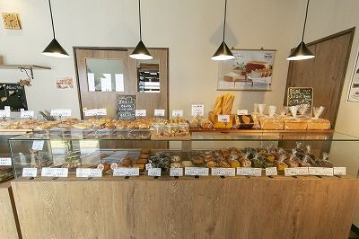 グルテンフリー 米粉食パン 窯出しコシヒカリ 2本 H083-017