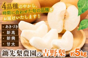 熊本県氷川町産 鋤先梨農園の梨 約5kg 鋤先梨農園 《8月下旬-10月中旬頃出荷》 熊本県 氷川町 あきづき 甘太 新高 新興 旬---sh_cskinasi_h810_26_17500_5kg---
