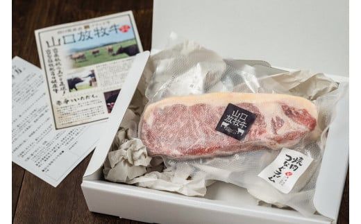 D008 山口放牧牛「サーロインステーキ」