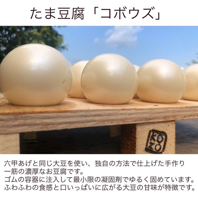 豆腐・油揚げ セット /たま豆腐「コボウズ」12たま 乾燥油揚げ「六甲あげ」8袋 こぞうセット 《京都大豆 丹波大豆 旨味濃縮 手作り こだわり製法》※北海道・沖縄・離島への配送不可