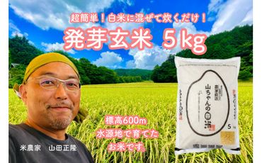 359.農家直送『山ちゃんの発芽玄米』5kg