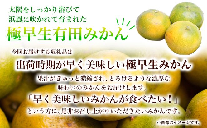 ＜先行予約＞厳選　極早生有田みかん4kg+120g（傷み補償分）【YN26・ゆら早生】池田鹿蔵農園@日高町（池田農園株式会社）《9月中旬-11月中旬頃出荷》和歌山県 日高町  みかん 早生みかん 極早生 蜜柑 ミカン 柑橘 有田みかん 有田ミカン【配送不可地域あり】---wsh_idn45_9c11c_24_10000_4kg---