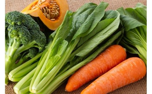 毎月お届け!おおいたの旬野菜4月から半年間定期便/計6回発送_1775R