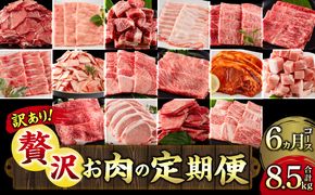 【訳あり】<定期便>宮崎県産黒毛和牛・宮崎県産豚肉 贅沢6か月コース_M132-T046