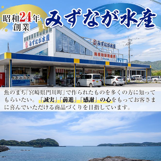 辛口えいひれ(計約500g・100g×5P)干物 おつまみ 珍味 魚 海産物 冷蔵【E-25】【水永水産】