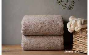 G2687 【TVで紹介！】おぅ！え～やん バスタオル（ブラウン）2枚【泉州タオル 国産 吸水 普段使い 無地 シンプル 日用品 家族 ファミリー】