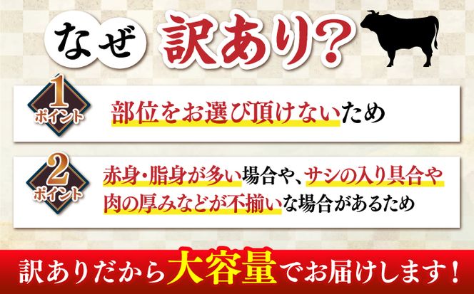 【全6回定期便】【たっぷり大容量！】博多和牛 切り落とし 1000g(500ｇ×2Ｐ）《築上町》【株式会社MEAT PLUS】[ABBP028]