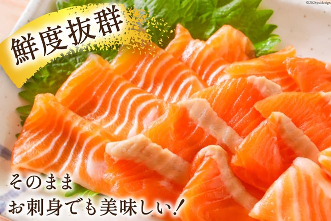 【CF03】訳あり 無添加 サーモン 切り落とし おさしみ用 1kg 125gx8p [足利本店 宮城県 気仙沼市 20564313] 魚 魚介類 鮭 お刺し身 刺し身 刺身 生 生食 個包装 チリ銀鮭 銀鮭 海鮮 海鮮丼 魚介