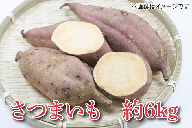 AU013　山﨑観光農園の安納芋　約6kg