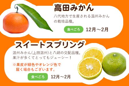 柑橘詰め合わせセット(5種類・10kg以上) 山本果樹園《12月上旬-1月末頃出荷》果物 フルーツ みかん---sh_ymmtbox_ad121_24_16000_10kg---