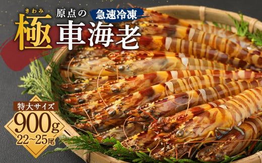 yF{Vszɣ _̎ԊCV }Ⓚ 900g (22`25) TCYy2025N11{菇\z