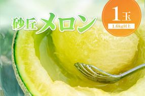 【先行予約／数量限定450】京丹後産 砂丘メロン 大玉2L以上 1玉（2026年7月下旬～発送）　国産 高級メロン めろん 贈答 贈答品メロンマスクメロン 青肉メロン メロン先行予約 メロン1玉　HF0001