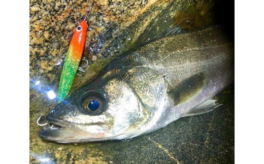 ルアー2点セット　尺八ミノー60と尺八ミノー80 [ハッサク工房 石川県 宝達志水町 38600510]