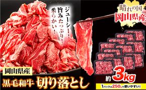 牛肉 黒毛和牛 切り落とし 3kg《30日以内に出荷予定(土日祝除く)》 岡山県 浅口市 牛 牛肉 和牛 牛丼 カレー 小分け 小分けパック 250g 送料無料 ---124_f659_30d_24_29000_30---