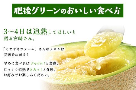 【先行予約】「ミヤザキファーム」 肥後グリーンメロン2玉 熊本県氷川町産《6月中旬-6月末頃出荷》---sh_miyameron_j6_r7_15000_2t---