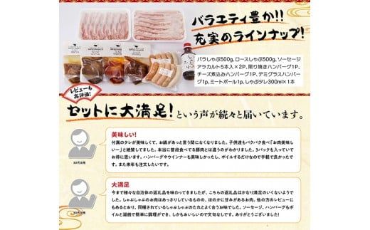 宮崎県産豚肉 あじ豚しゃぶしゃぶバラエティセット　肉 豚 豚肉 [E0201]