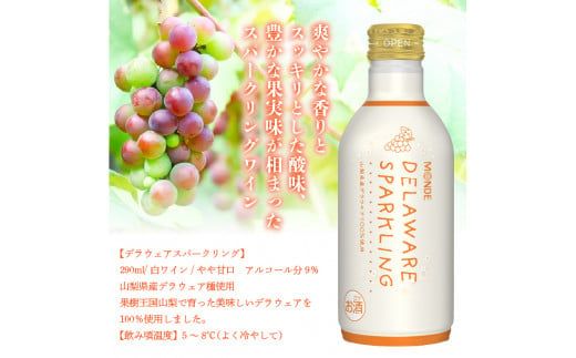 【モンデ酒造ふるさと納税】デラウェアスパークリングワイン24本 018-027