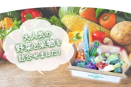 旬の新鮮野菜・果物詰合せセット たっぷり10-15品目 熊本県氷川町産 道の駅竜北《30日以内に出荷予定(土日祝除く)》---sh_cmitiysi_30d_23_22000_10p---