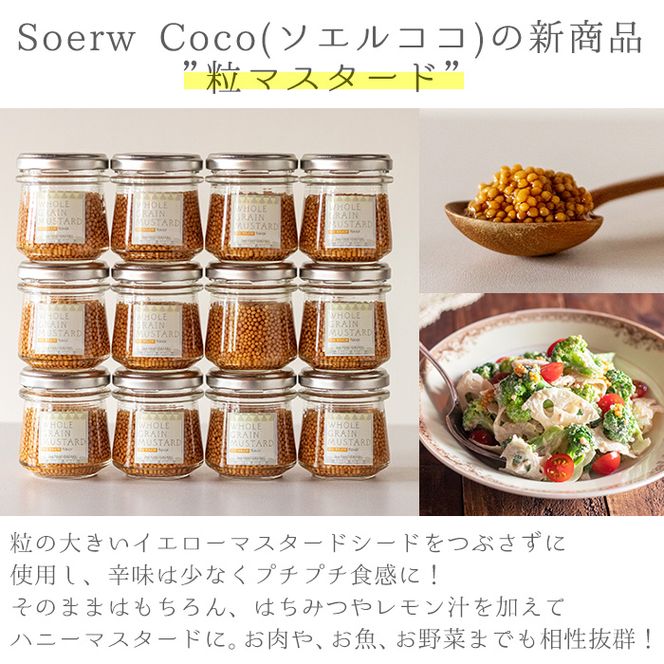 【0114207a】Soerw Cocoの粒マスタード(70g×4セット) 調味料 からし 料理【Food＆SpiceSoerwCoco】