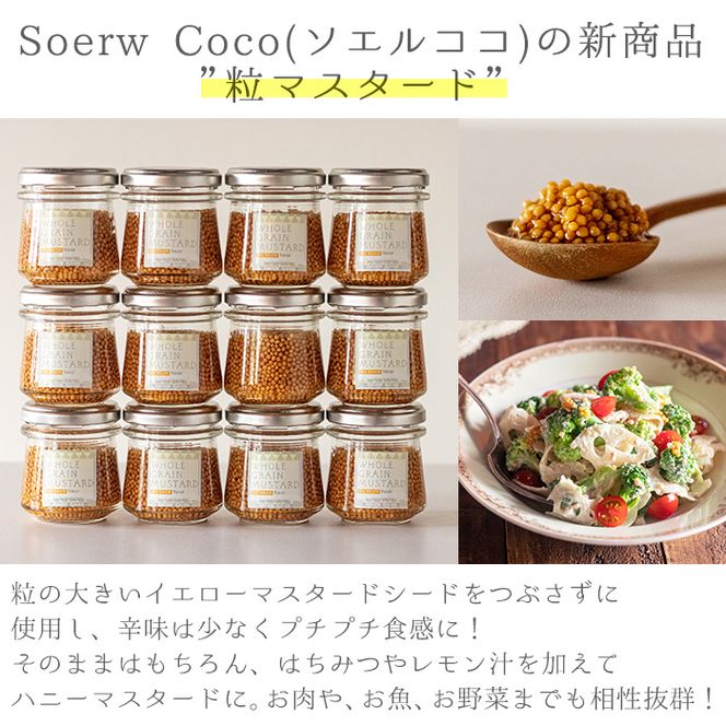 【0114212a】Soerw Cocoの粒マスタード(70g×4セット) 調味料 からし 料理【Food＆SpiceSoerwCoco】