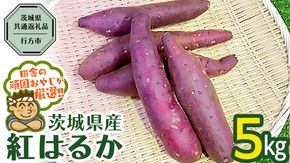 べにはるか 5kg 【2024年10月から発送開始】（茨城県共通返礼品 [さつまいも]：行方市産） さつまいも 紅はるか 芋 いも 野菜 [BI07-NT]