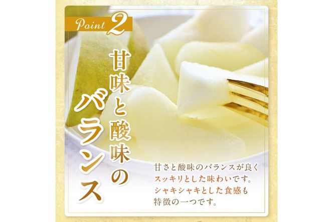 【先行予約／数量限定150】京丹後産 20世紀梨 5kg（12～16玉入り）（2026年9月上旬～発送）　JA00075