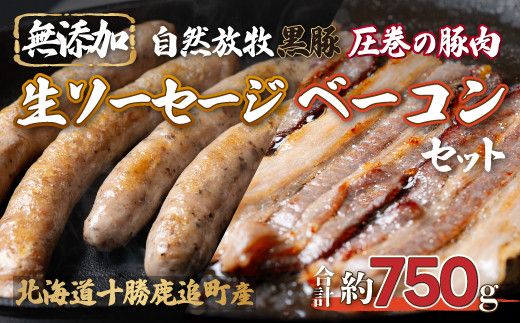 ykCǒzǎY Rq̍ Yx[RY\[Z[W SKN008