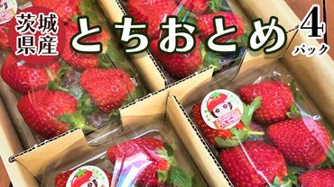 茨城県産 いちご 「 とちおとめ 」 4パック イチゴ 果物 フルーツ 新鮮 旬 果実 [AM122us]