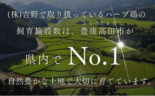 HA-04 【鶏モモ・むね肉 各2kg／3か月定期便】大分県産 ハーブ鶏 計12kg 業務用 冷蔵 配送 国産 九州 鶏肉 鶏もも ムネ 定期便 毎月 発送 3回