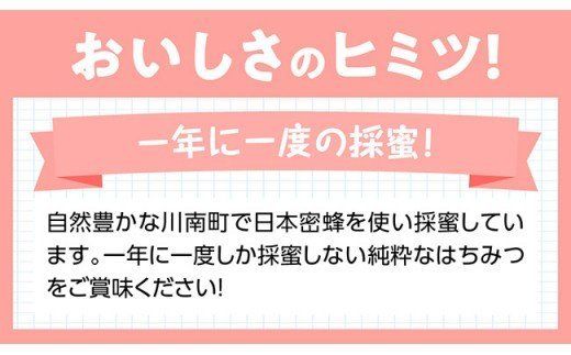 はちみつ（百花蜜）1ｋｇ [G5701]