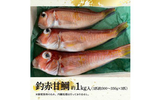 『釣赤甘鯛 Ｂ』　魚 [G4406]