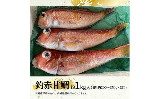 『釣赤甘鯛 Ｂ』　魚 魚介類 [D04409]