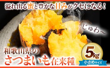 和歌山県のサツマイモ 在来種 小さめサイズ 5kg《12月中旬‐4月下旬頃出荷》和歌山県 日高川町 みはらファーム さつま芋 薩摩芋---wshg_mssi_b124_22_11000_5kg---