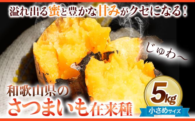 和歌山県のサツマイモ 在来種 小さめサイズ 5kg《12月中旬‐5月上旬頃出荷》和歌山県 日高川町 みはらファーム さつま芋 薩摩芋---wshg_mhr12_12c5j_26_12000_5kg---