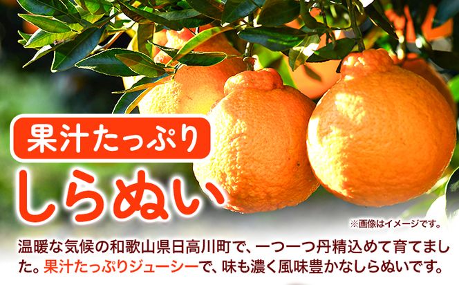 不知火 ( デコポン と同品種 ) しらぬい 約 5kg (L～5Lサイズ) どの坂果樹園《2027年2月中旬-5月上旬頃出荷》 和歌山県 日高川町 しらぬい 不知火 デコポン でこぽん 旬 果物 フルーツ 柑橘 産地直送 送料無料---wshg_245_g25_23_11000_5kg---｜しらぬい 不知火 デコポン でこぽん 旬 果物 フルーツ 柑橘 産地直送 デコポン デコポン デコポン デコポン デコポン 不知火 不知火 不知火 