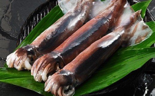 【絶品海鮮炊き込みご飯】島の特産品スルメイカの炊き込みご飯の素