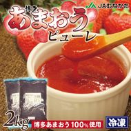 冷凍「博多あまおうピューレ」1kg×2袋【JAほたるの里】_HA1045