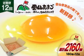 BI051 12回 定期便 どっさり！ 雲仙たまごMサイズ 180個(170個＋割れ補償10個入り) [ 卵 たまご 生卵 鶏卵 赤卵 玉子 新鮮 塚ちゃん雲仙たまご村 長崎県 島原市 ]
