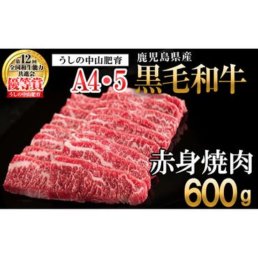 【数量限定】鹿児島県産 A4・A5等級うしの中山黒毛和牛赤身焼肉用600g a5-263