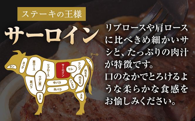 くまもと黒毛和牛 サーロインステーキ 250g 500g 750g 1000g 牛肉 冷凍 《30日以内に出荷予定(土日祝除く)》 くまもと黒毛和牛 黒毛和牛 冷凍庫 個別 取分け 小分け 個包装 ステーキ肉 にも サーロインステーキ---mna_fsaro_30d_24_10000_250g---